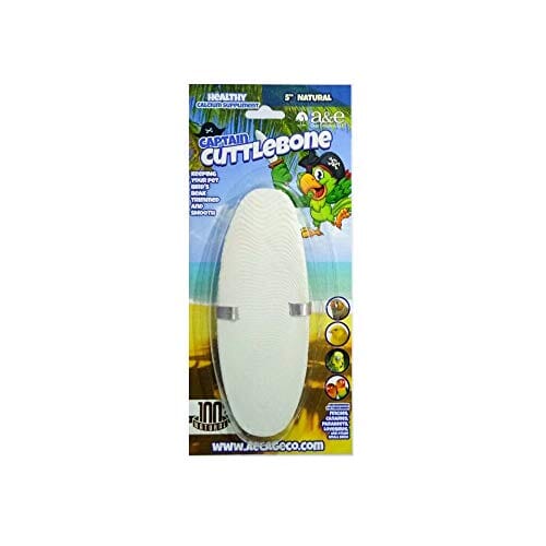 A&E Cage Company Natural Bird Cuttlebone Treats - 5 In  