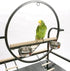 A&E Cage Company Play Stand with Toy Hook for Birds - Black - 28 In Dia  