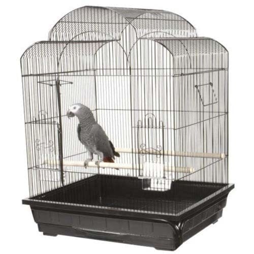 A&E Cage Company Victorian Bird Cage - Black - 25 X 21 In - 2 Pack  