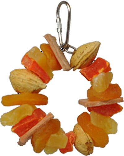 A&E Cage Happy Beaks Tropical Delight Fruit & Nut Ring Bird Toy - 4 X 4 X 4 In