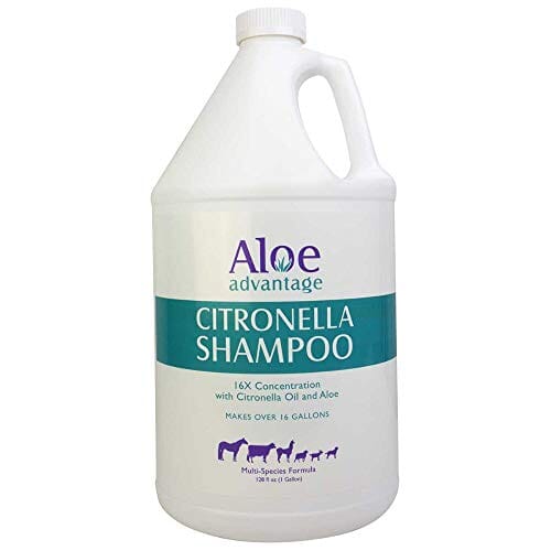 Aloe Advantage Citronella Pet Shampoo 16X Conc - 1 Gal  