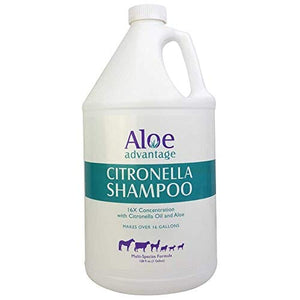 Aloe Advantage Citronella Pet Shampoo 16X Conc - 1 Gal