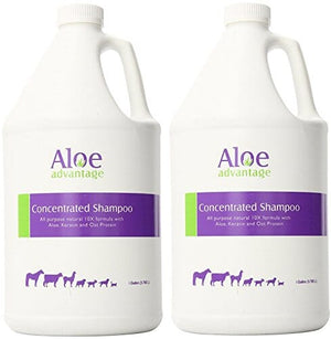 Aloe Advantage Concentrate Pet Shampoo 10X - 1 Gal