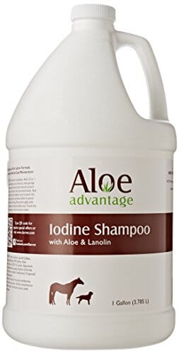 Aloe Advantage Iodine Pet Shampoo - 1 Gal  