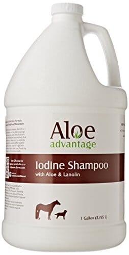 Aloe Advantage Iodine Pet Shampoo - 1 Gal