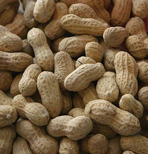 Alpine Dairy In Shell Peanuts #1 Fancy Wild Bird Food - 50 Lbs  