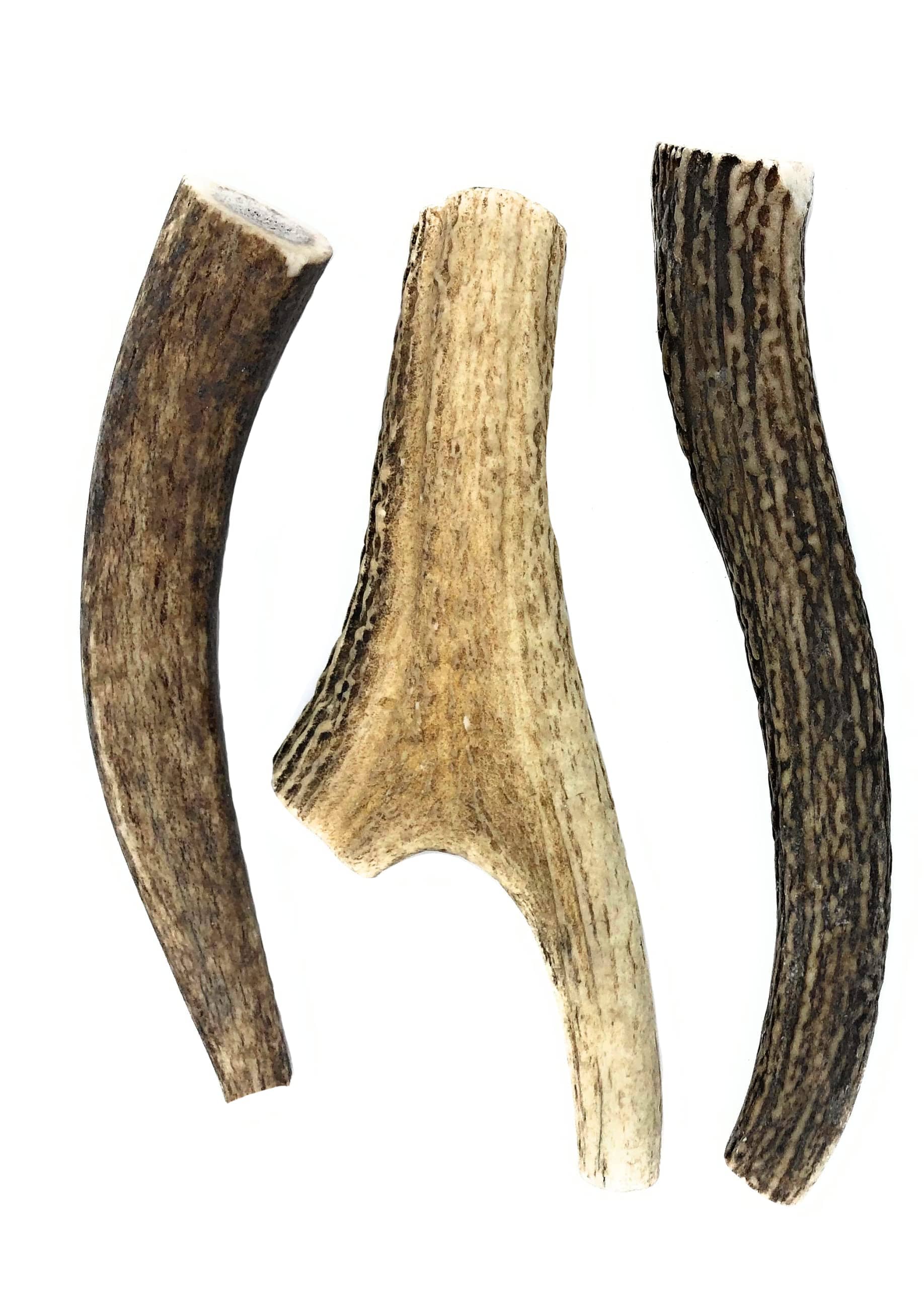 Antler Dog Chews Deer Antler - Medium - 5-7 In  