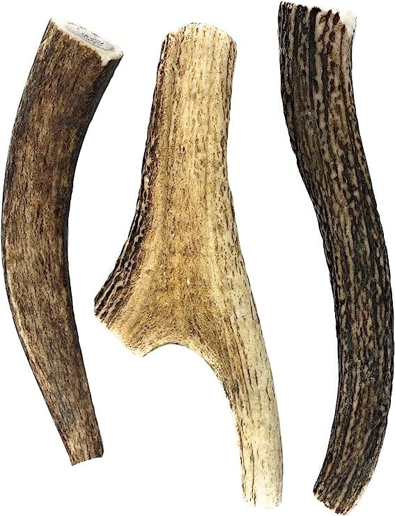 Antler Dog Chews Deer Antler - Medium - 5-7 In - 2 Lbs  