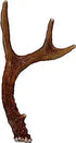 Antler Dog Chews Deer Antler - Small - 3-5 In - 2 Lbs  