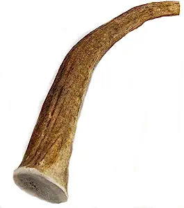 Antler Dog Chews Elk Antler - Extra Large 9-10 In  