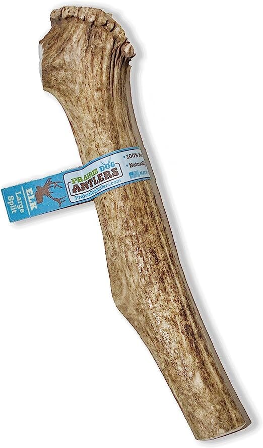 Antler Dog Chews Elk Antler Split - Extra Large 9-10 In  