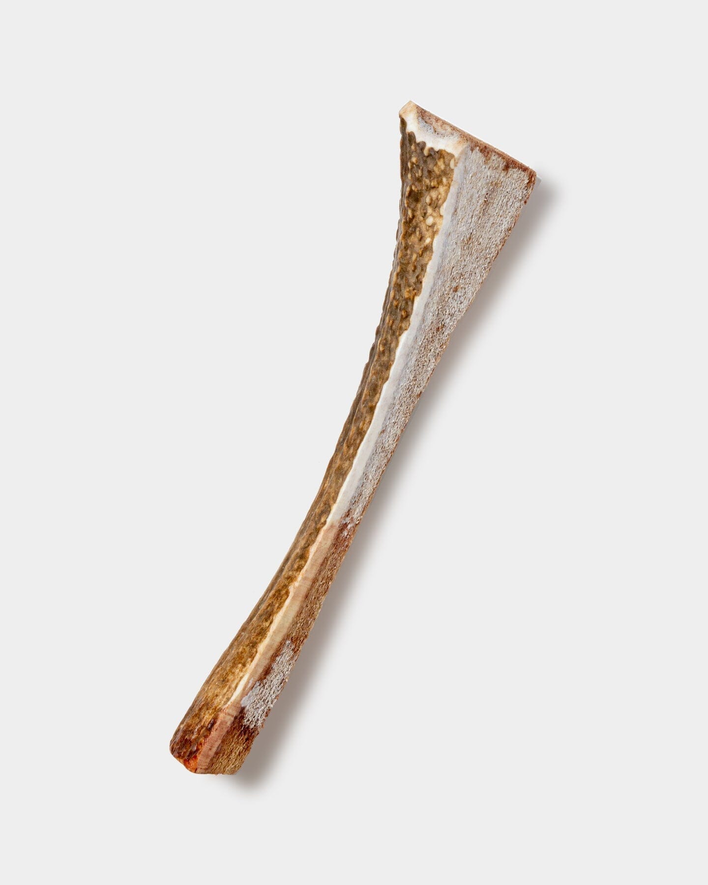 Antler Dog Chews Elk Antler Split - Jumbo -10 In  