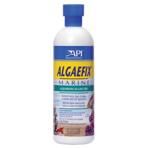 API Algaefix Marine - 16 fl oz  