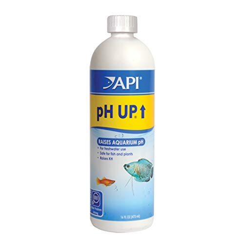 API pH Up - 16 fl oz
