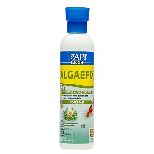 API Pond AlgaeFix - 8 fl oz  