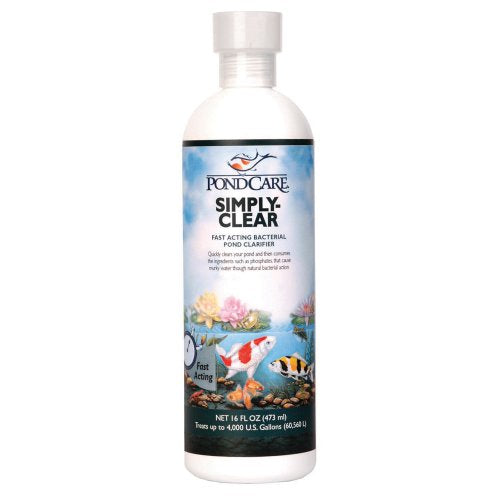 API Pond Simply-Clear - 16 fl oz  