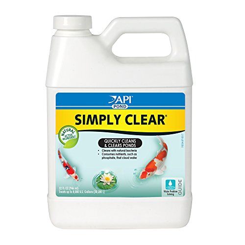 API Pond Simply-Clear - 32 fl oz  