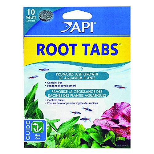 API Root Tabs - 10 pk  