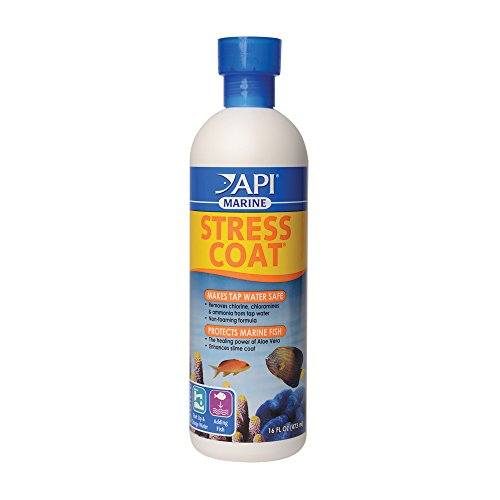 API Stress Coat Marine - 16 fl oz  