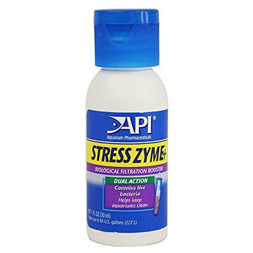 API Stress Zyme+ - 4 fl oz  