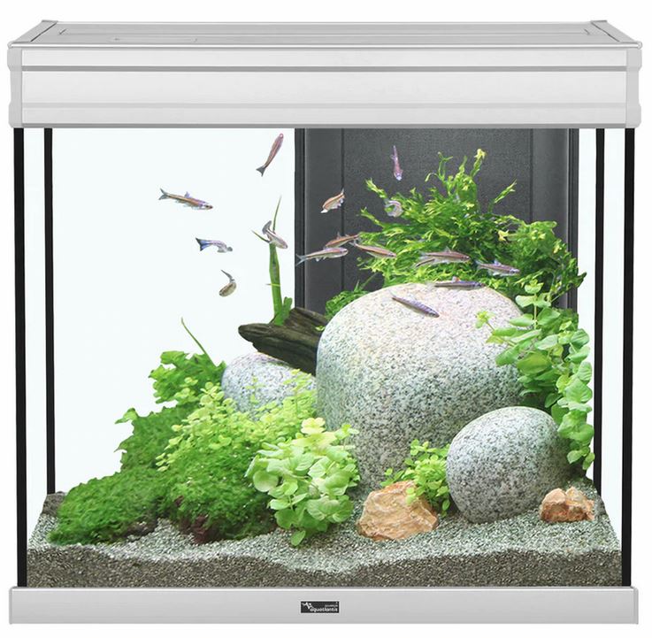 Aquatlantis Elegance Expert 60 Aquarium - Grey - 27.5 gal  