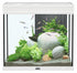 Aquatlantis Elegance Expert 60 Aquarium - White - 27.5 gal  