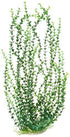 Aquatop Elodea-Like Weighted Plastic Aquarium Plant - Green - 20 In  