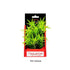 Aquatop Vibrant Garden Plant Boxed Plastic Aquarium Plant - Green - 6  