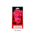 Aquatop Vibrant Garden Plant Boxed Plastic Aquarium Plant - Pink - 6  