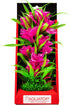 Aquatop Vibrant Passion Plant Boxed Plastic Aquarium Plant Decoration - Pink - 10  