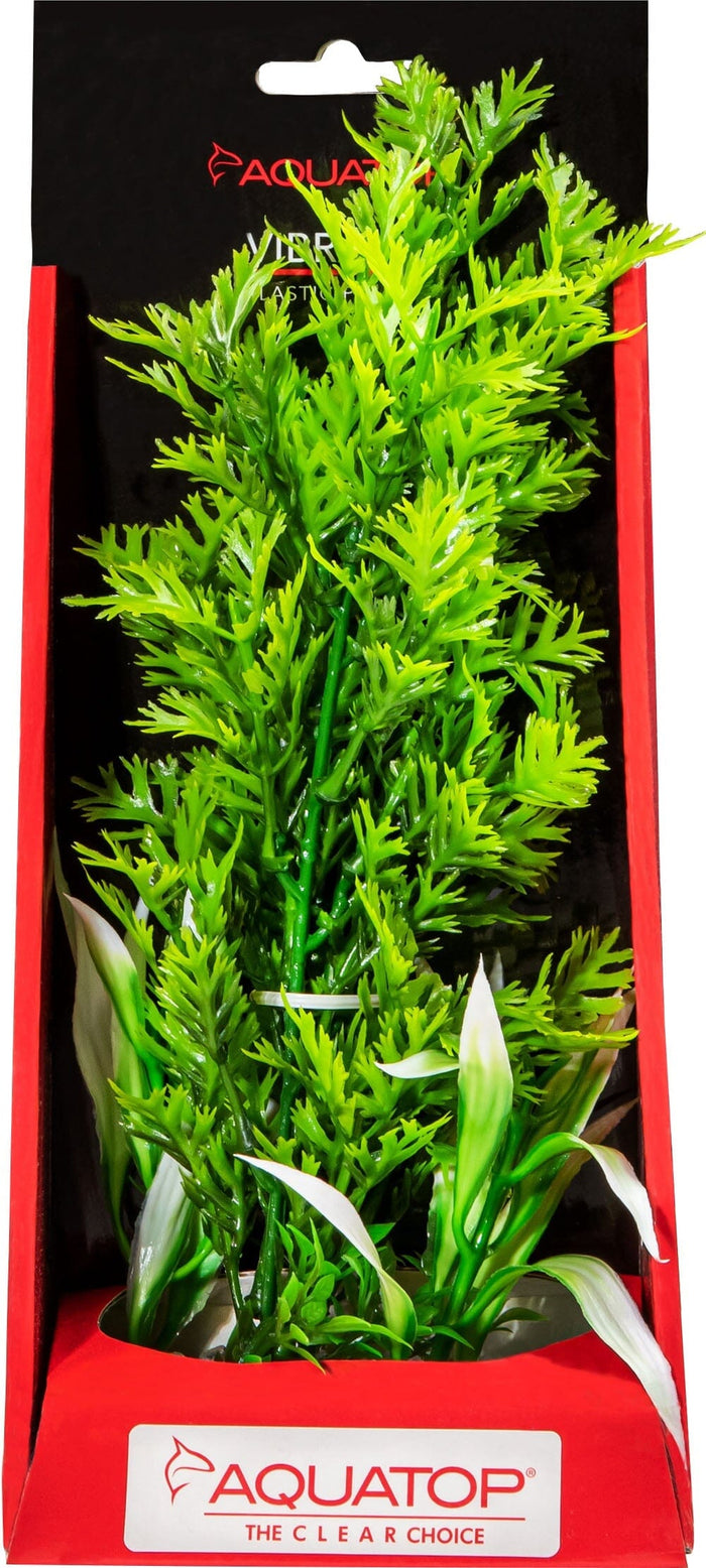 Aquatop Vibrant Wild Plant Boxed Plastic Aquarium Plant Decoration - Green - 10