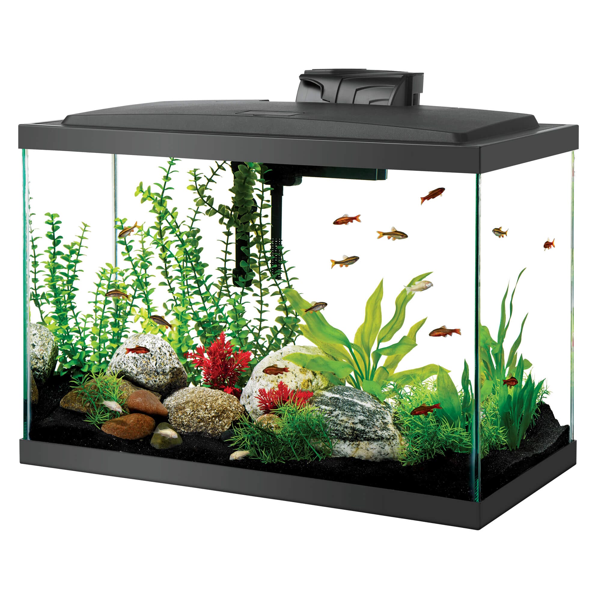 Aqueon Aquarium Starter Kit with LED Lighting - 20 High  