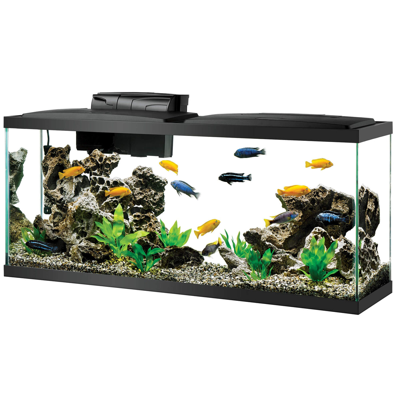 Aqueon Aquarium Starter Kit with LED Lighting - Size 55 – Pet Life