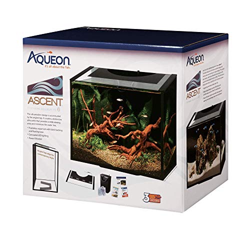 Aqueon Ascent Frameless Aquarium Kit - 10 gal