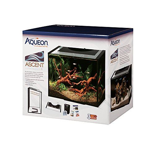 Aqueon Ascent Frameless Aquarium Kit - 6 gal  