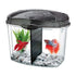 Aqueon Betta Bowl Kit - Black - .5 gal  