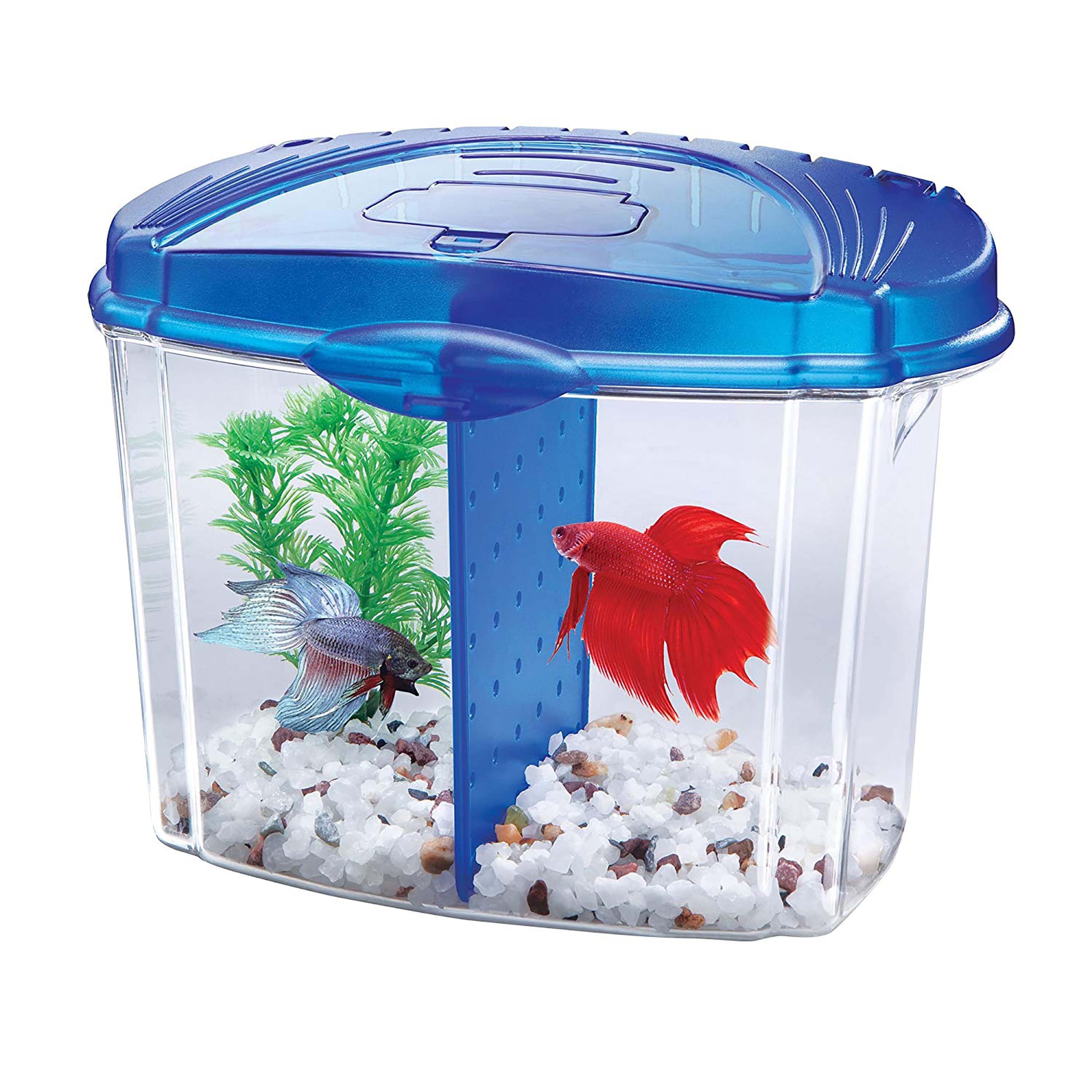 Aqueon Betta Bowl Kit - Blue - .5 gal  