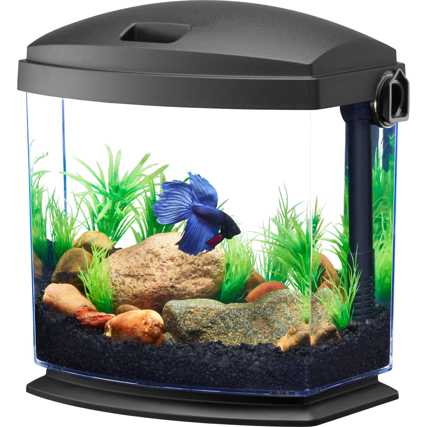 Aqueon BettaBow with Quick Clean Technology Aquarium Kit, Black - 1 ga –  Pet Life