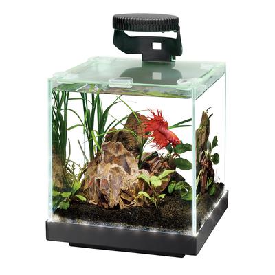 Aqueon Edgelit Cube Aquarium - 1 gal – Pet Life