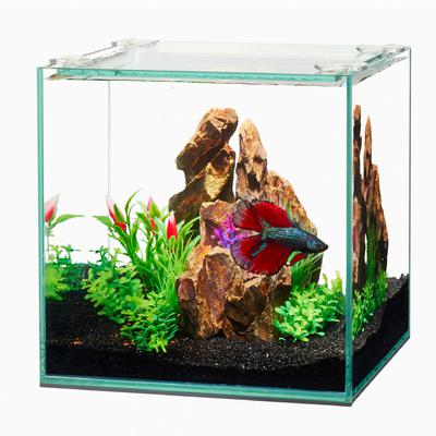 Aqueon Frameless Cube Aquarium - 1 gal  