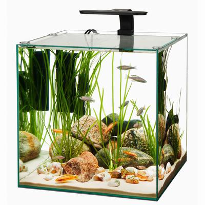 Aqueon Frameless Cube Aquarium - 14 gal  