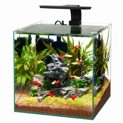 Aqueon Frameless Cube Aquarium - 6 gal  