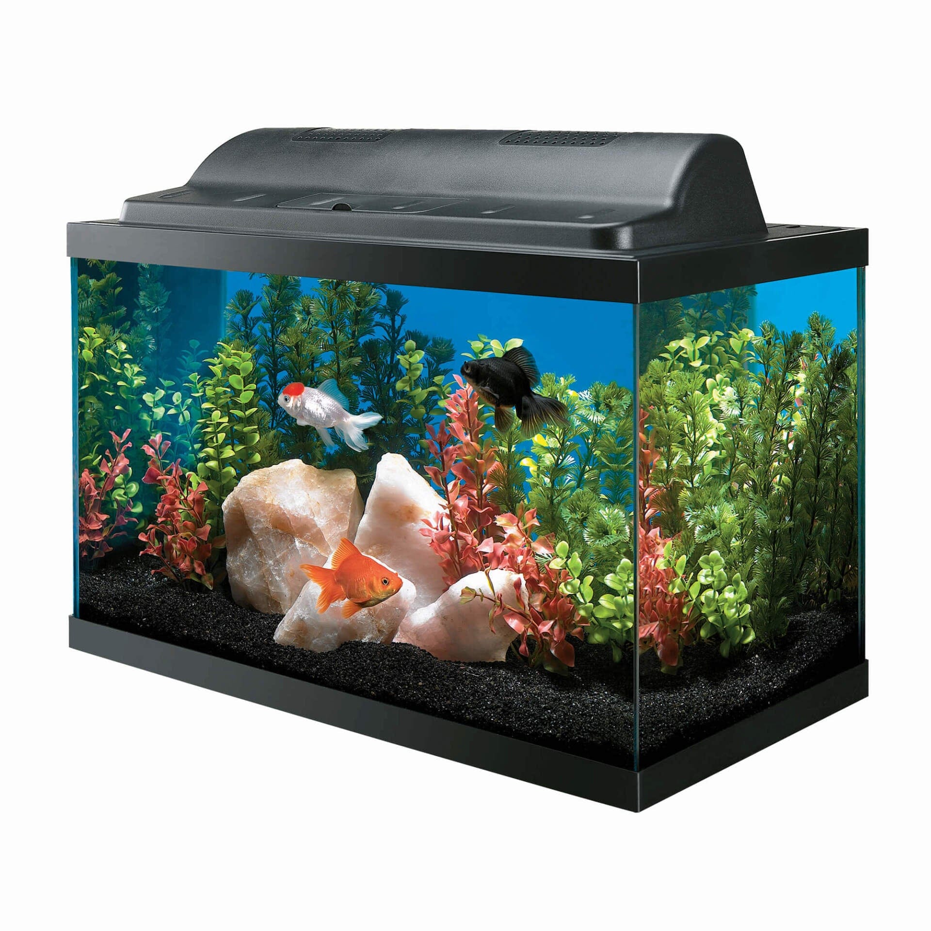 Aqueon Incandescent Aquarium Kit - 10  