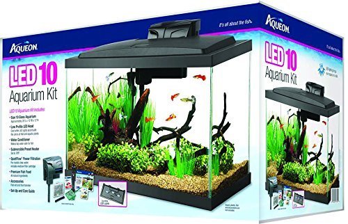 Aqueon LED Aquarium Kit - 10 gal
