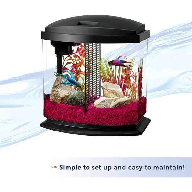 Aqueon LED BettaBow - Black - 2.5 gal  