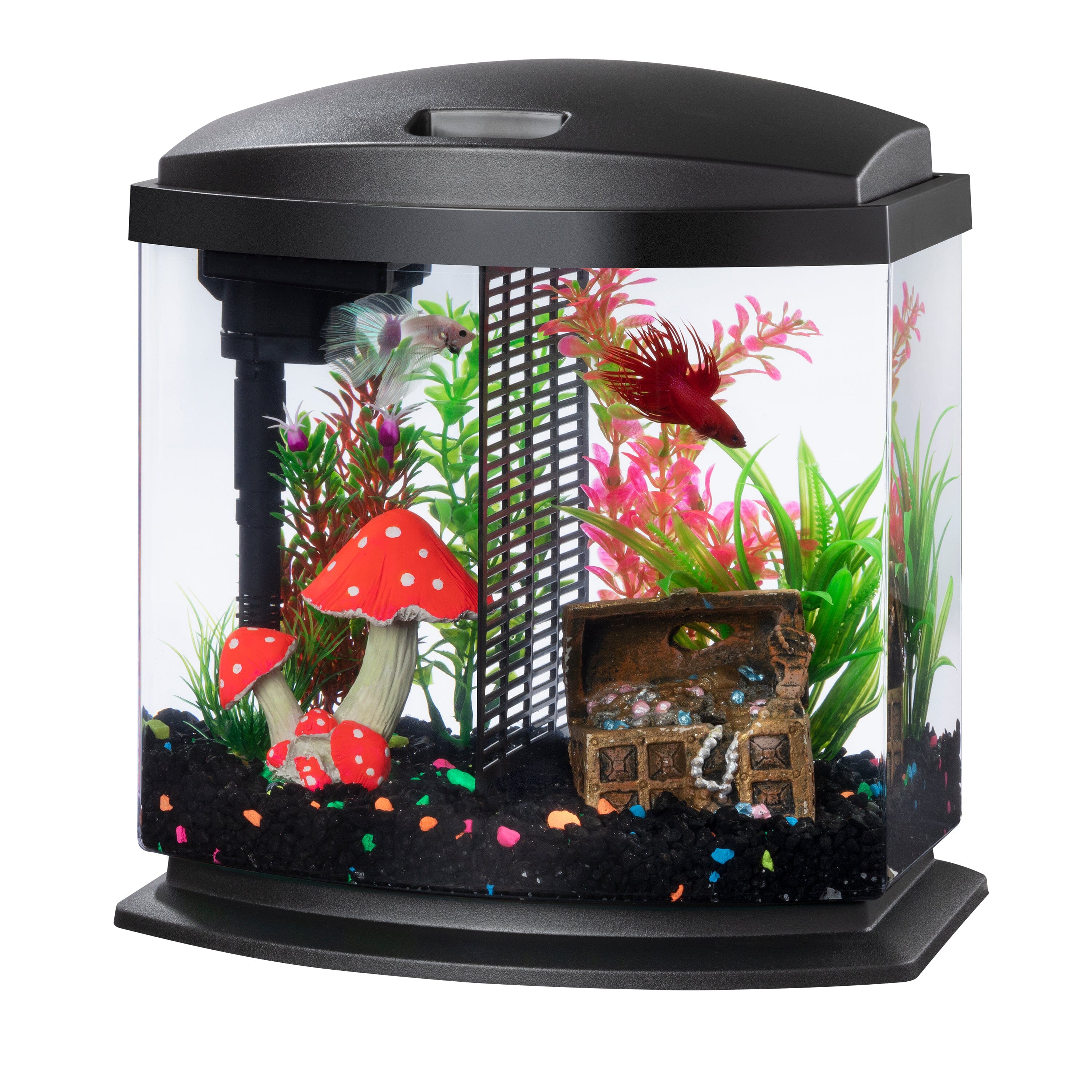 Aqueon LED BettaBow Kit SmartClean Black - 2.5 gal  