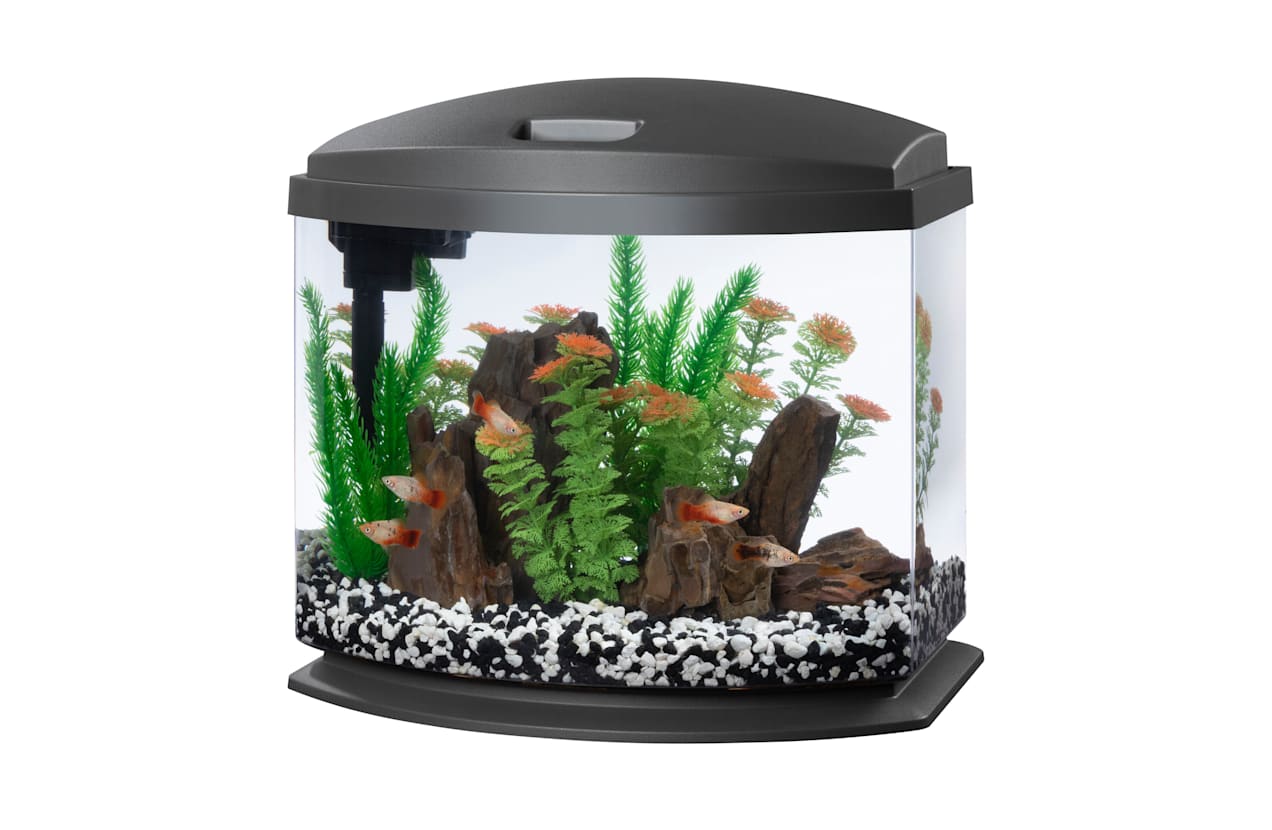 Aqueon LED MiniBow 5 - Grey - 5 gal  