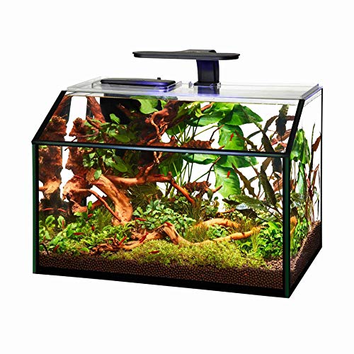 Aqueon LED Shrimp Aquarium Kit - 8.75 gal  