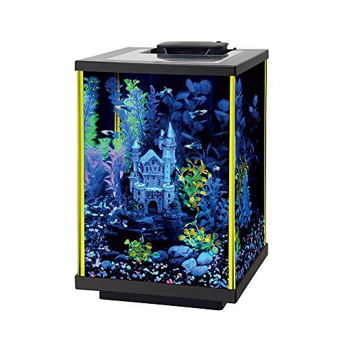 Aqueon NeoGlow LED Aquarium Kit - Column - Lime Green - 5 gal  