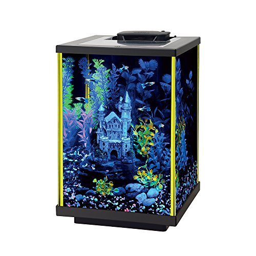 Aqueon NeoGlow LED Aquarium Kit - Column - Lime Green - 5 gal